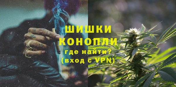 дживик Арсеньев