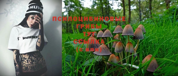дживик Арсеньев