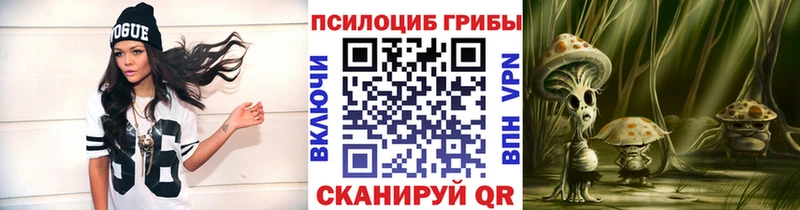 Купить  Струнино  Псилоцибиновые грибы MAGIC MUSHROOMS 